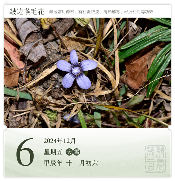 1732868737381353.png 箴历日历12-6.png