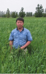 坚守梦想小草也能做成大产业