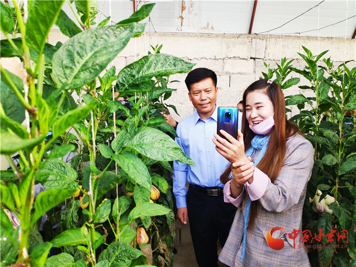 【凯发k8省决战决胜脱贫攻坚】瓜州梁湖乡：直播带货走进人参果大棚